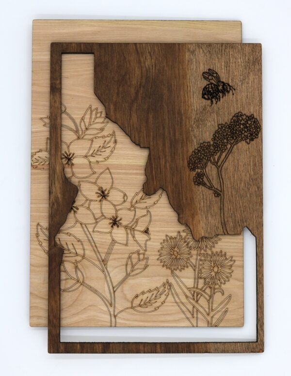 paint by numbers style kit showing Idaho state flower syringa 3D layered wood art by cinko designs owner amara cinko nelson